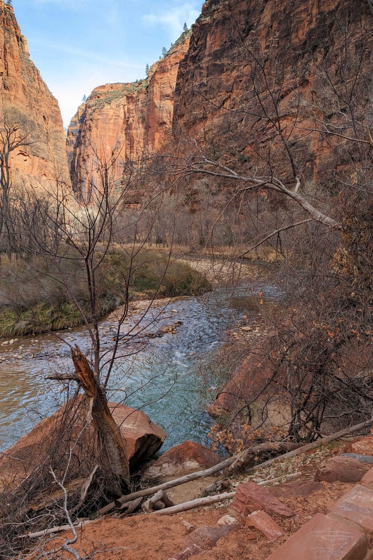 What to Do at Zion National Park in the Winter with Kids