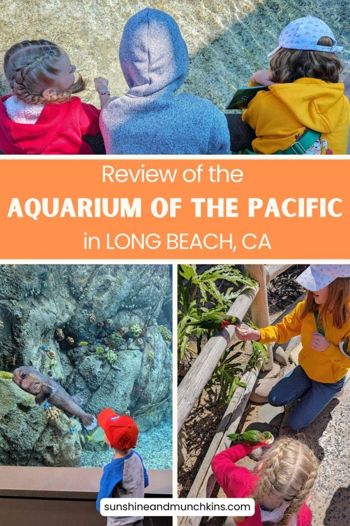 A review of the Aquarium of the Pacific in Long Beach, California.  Plus 6 hands-on-activities that are great for families with kids of all ages.