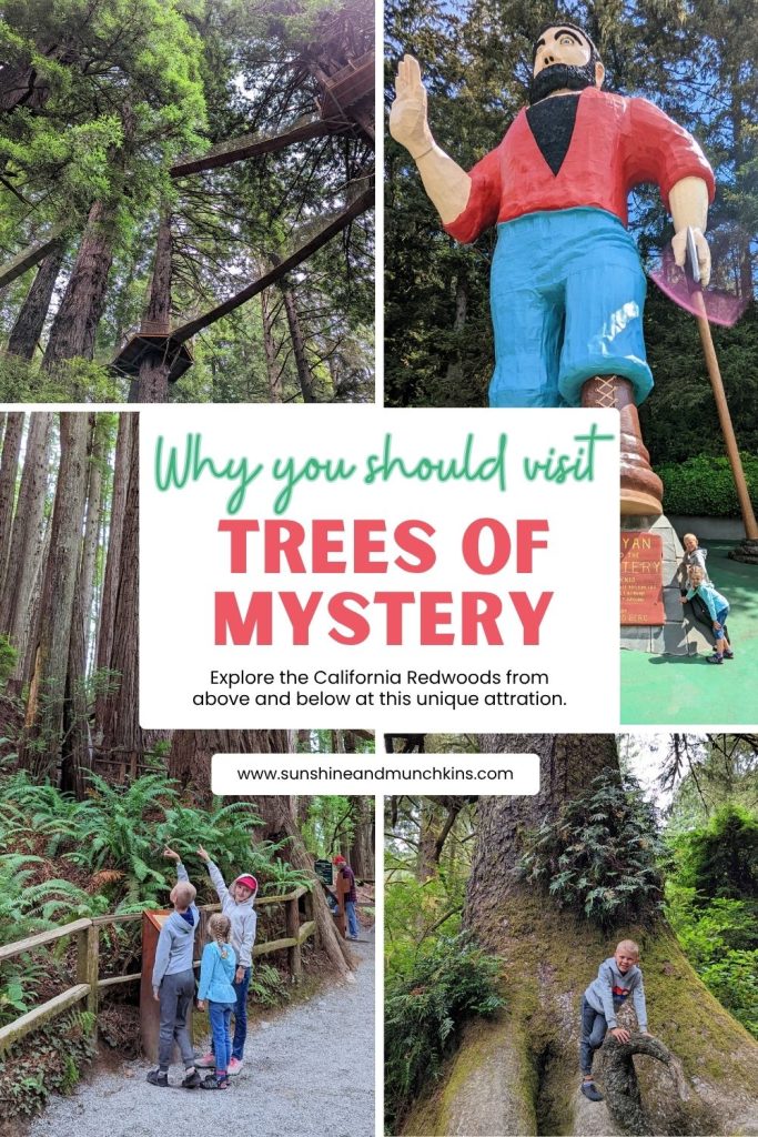 The Trees of Mystery in Klamath, California are definitely worth the stop! You will get to explore the beautiful redwood trees from above and below via the Canopy Trail, SkyTrail and the many walking trails.