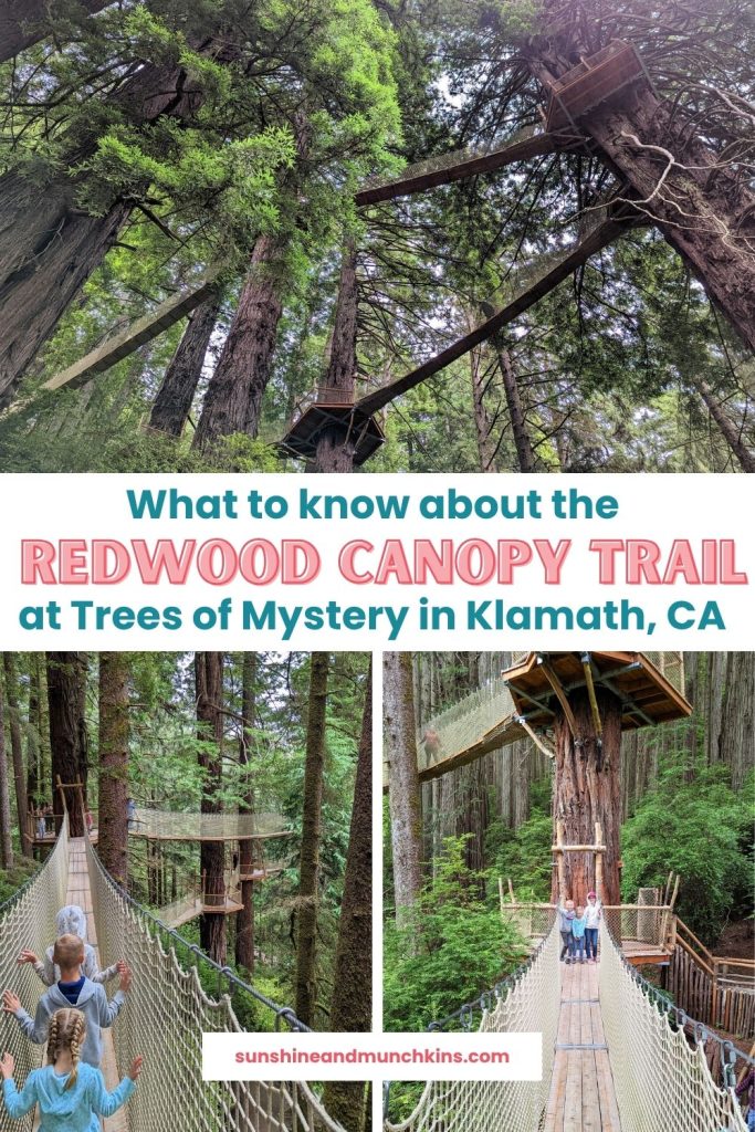 The Redwood Canopy Trail is a unique attraction at Trees of Mystery in Klamath, CA. But there are a few things you need to know about height requirements and other rules before you go.
