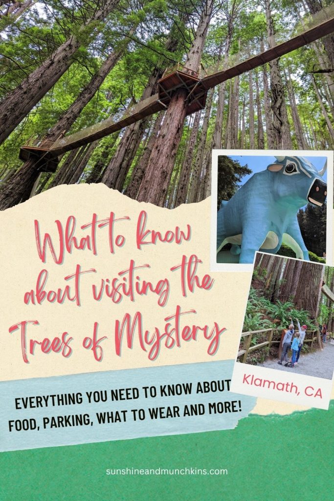 Planning a trip to Trees of Mystery in Klamath, CA? Save this post for everything you need to know about parking, food, bathrooms, what to wear and more!