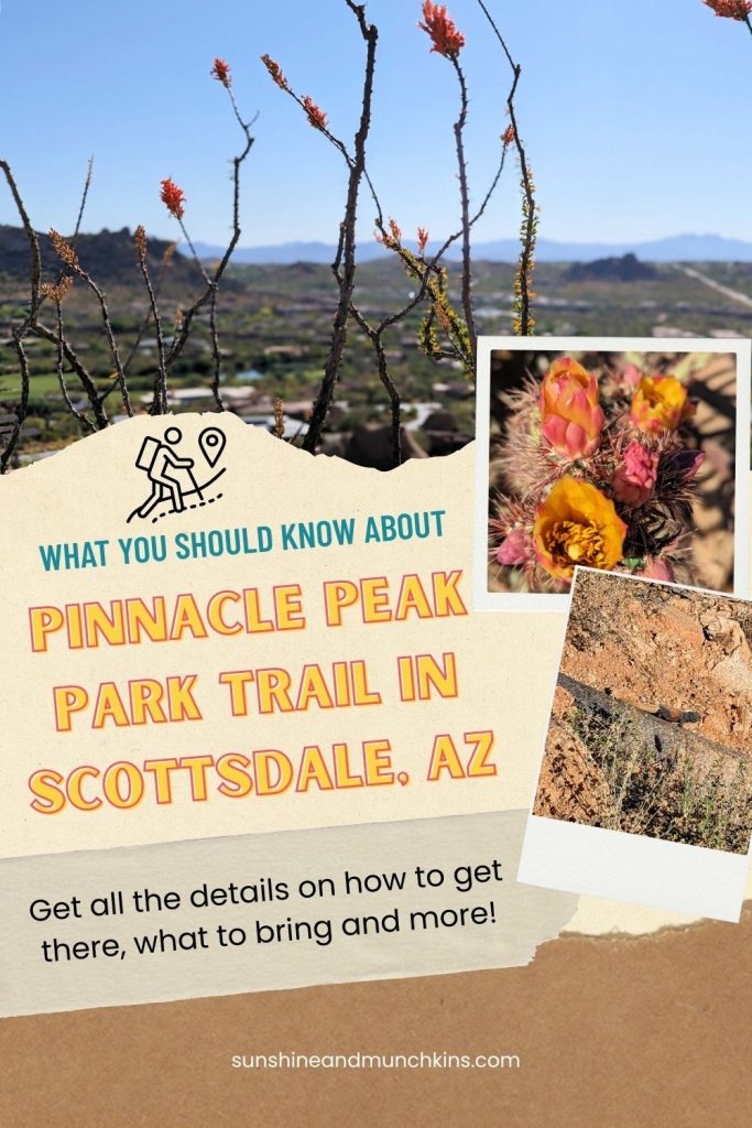 The Pinnacle Peak Park Trail is an out and back, moderate level hike that offers panoramic views of Scottsdale and the surrounding area.  Get all the details on how to get there, what to bring and more!