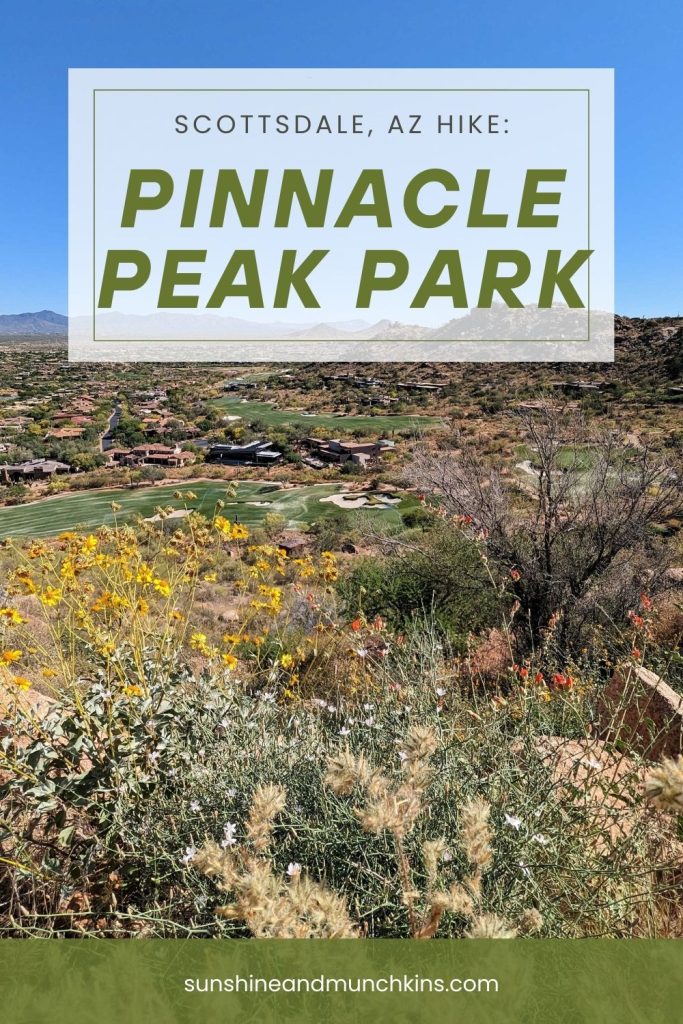 The Pinnacle Peak Park Trail is an out and back, moderate level hike that offers panoramic views of Scottsdale and the surrounding area.