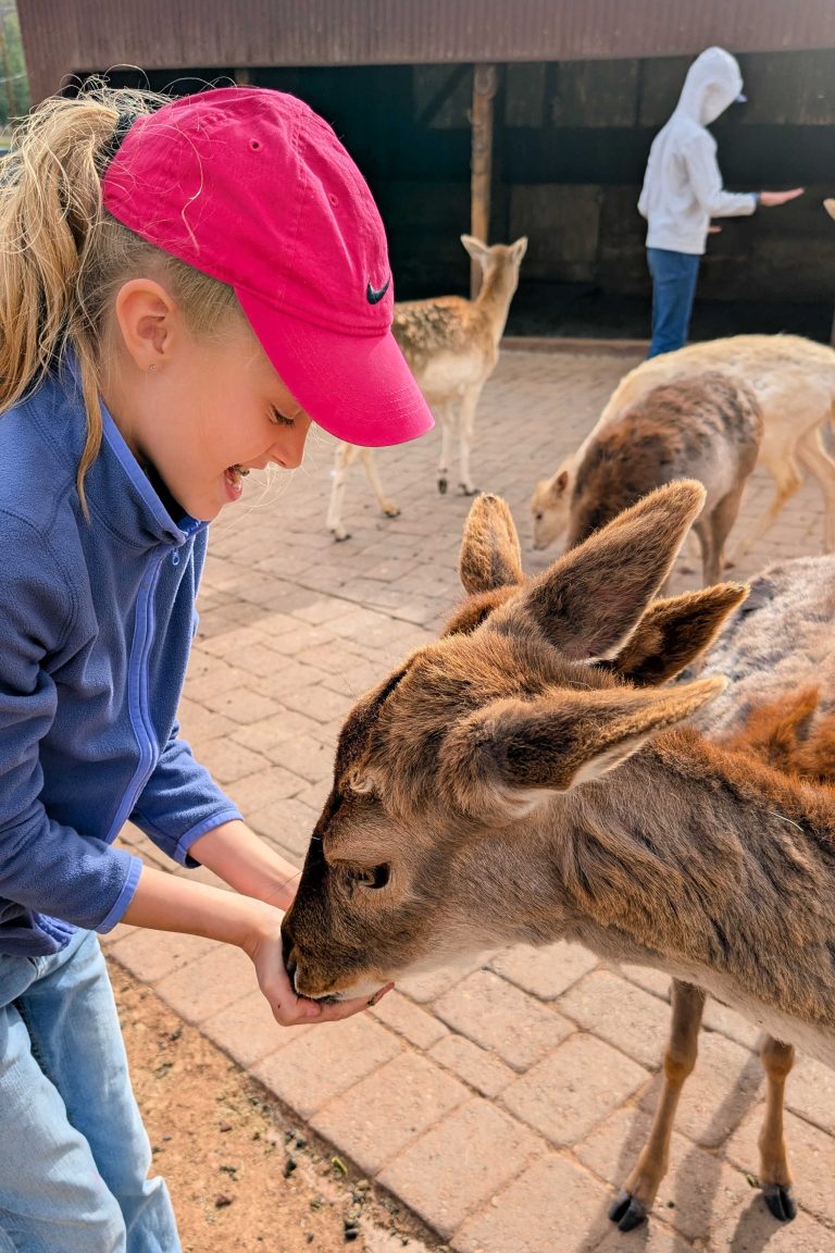 What to Know About the Grand Canyon Deer Farm in Williams, AZ