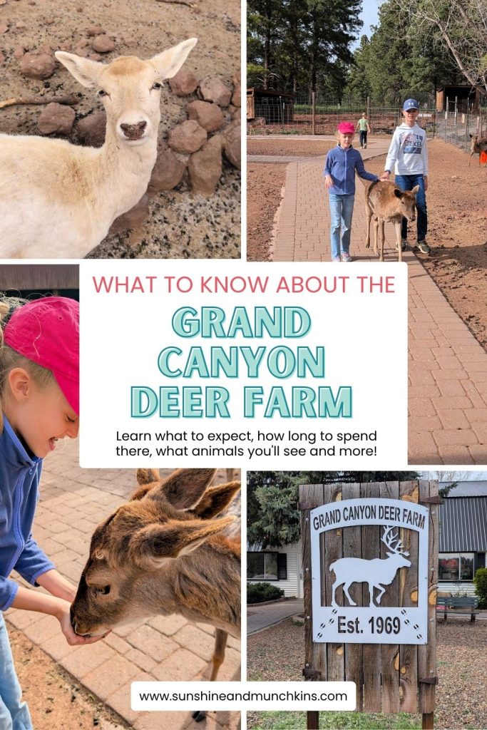 Planning a visit to the Grand Canyon Deer Farm in Williams, Arizona? Learn what to expect, how long to spend there, what animals you'll see, and whether this unique attraction is worth a stop.