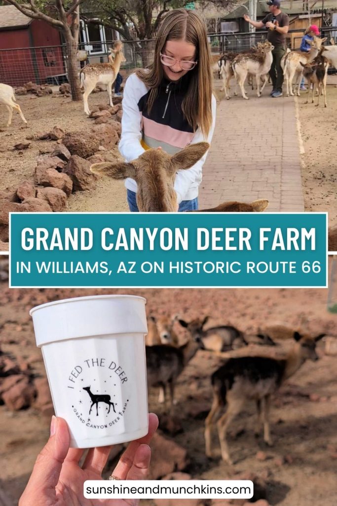 Planning a visit to the Grand Canyon Deer Farm in Williams, Arizona? Learn what to expect, how long to spend there, what animals you'll see, and whether this unique attraction is worth a stop.