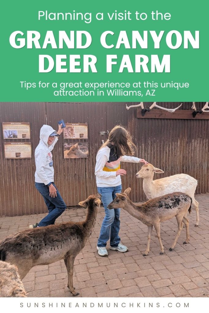 Planning a visit to the Grand Canyon Deer Farm in Williams, Arizona? Learn what to expect, how long to spend there, what animals you'll see, and whether this unique attraction is worth a stop.